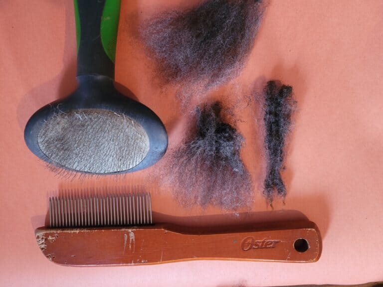 Can You Use Dog Brushes For Carding Wool?