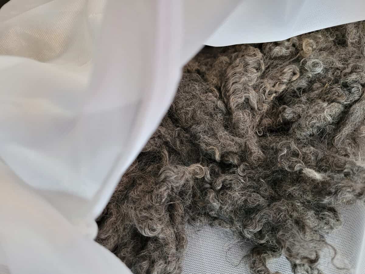 7 Steps To Wash Raw Wool For Felting