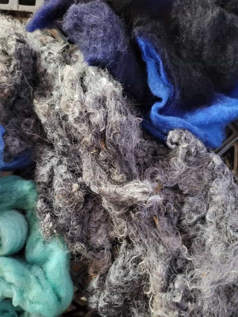 wool drying on milk crate