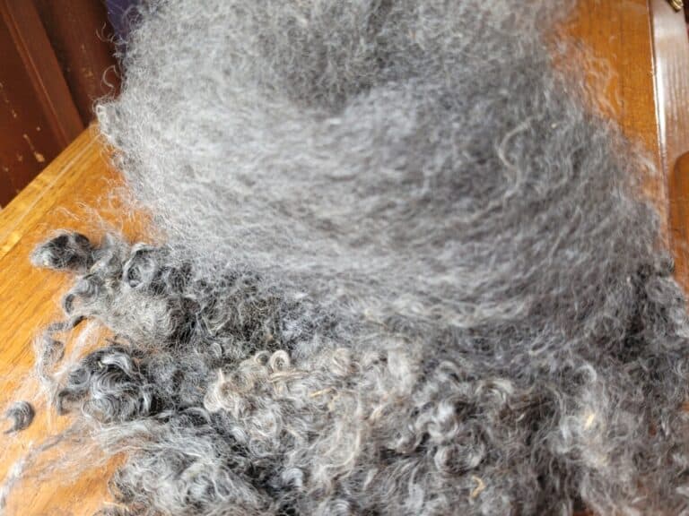 How To Prepare Mohair For Spinning (Combing or carding)