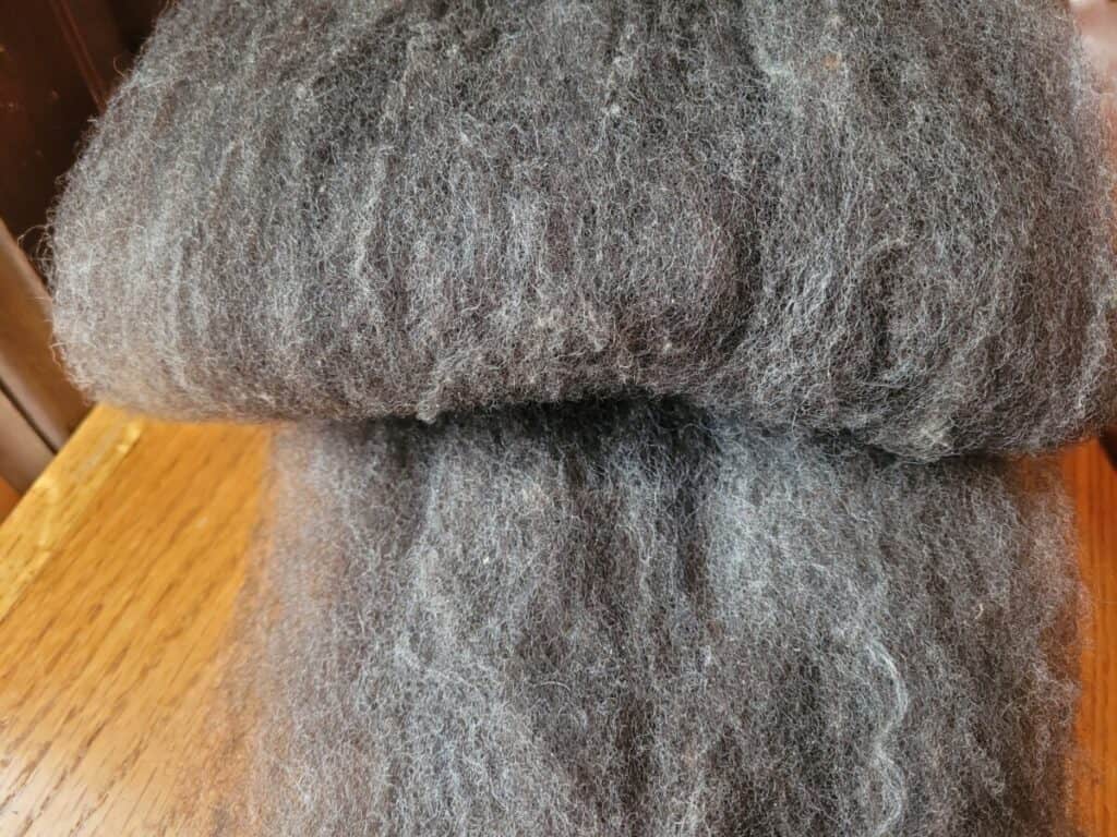 naturally colored batt of wool