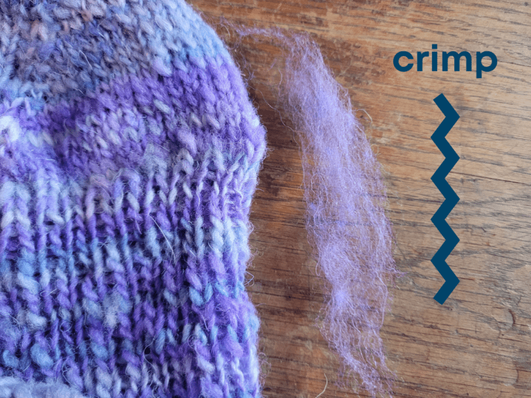 What Is Crimp In Wool? (And why it matters!)