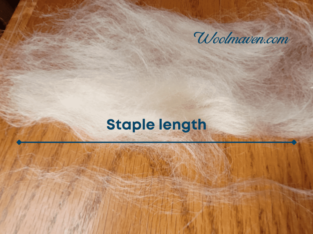 graphic showing staple length of wool