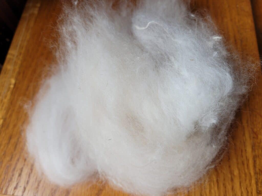 cloud of ready to spin angora