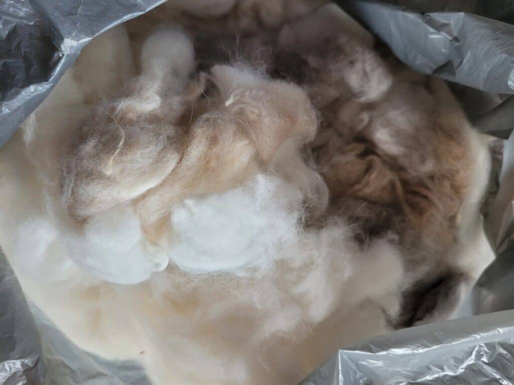 angora rabbit wool in a bag