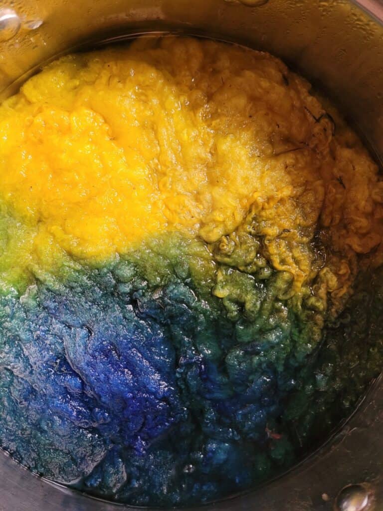 blue and yellow dyed Polypay wool in dye pot