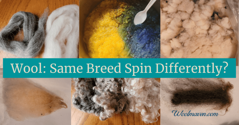Do Fleeces Of The Same Breed Of Sheep Spin Differently?