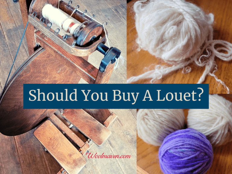 Should You Buy A Louet Spinning Wheel?