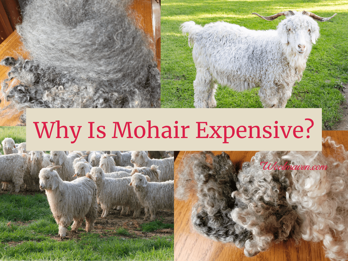 Why Is Mohair Expensive? – 