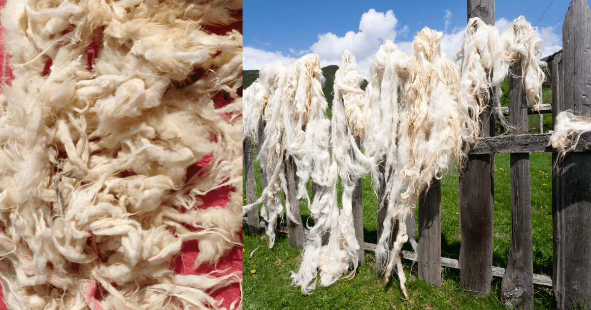 How Do You Dry Raw Wool After Washing It?