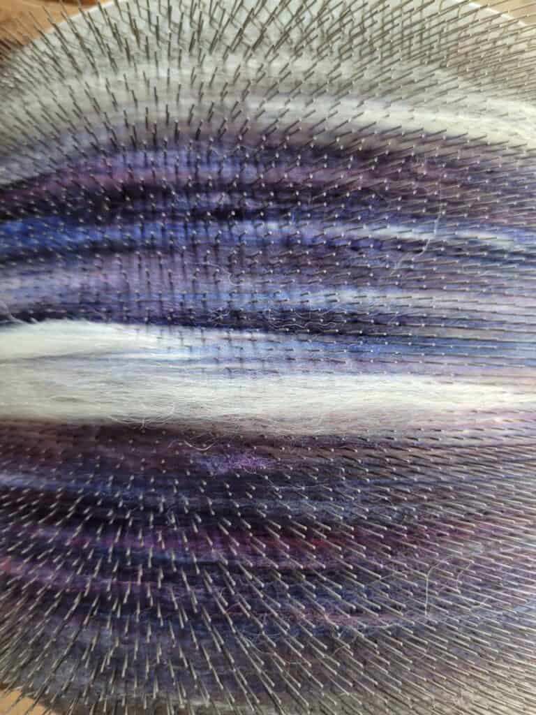 purple and blue wool with white Teeswater on drum carder