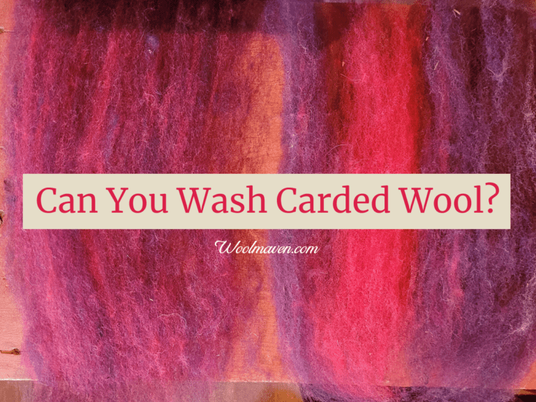 Can You Wash Carded Wool? (with options and tips)